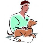 Ostéopathie animale : comment se déroule une séance ?